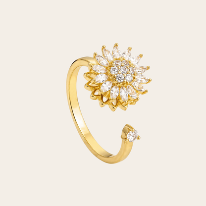 Focus Spinner Ring